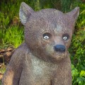 Медведь стоит купить
